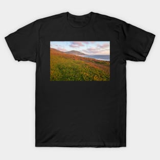 Springtime in Big Sur T-Shirt